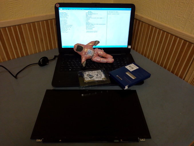 Ремонт ноутбука HP 250 G4. Замена матрицы и SSD